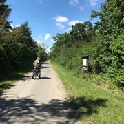 Naturlehrpfad Wipshausen