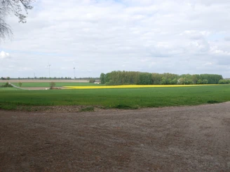 Blick von der Veilchenhöhe