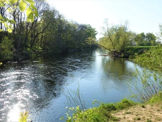 Innerstemündung bei Sartsedt