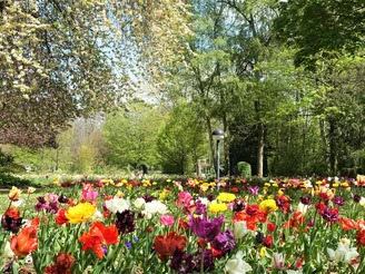 Kurpark Bad Salzdetfurth