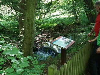 Wasserfall in der Lutter