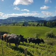 Panoramablick vom Hof: Natur und Ruhe geniessen