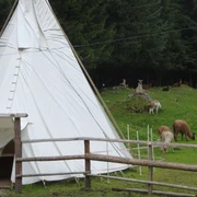 Übernachten Sie auf der Alp im Tipi