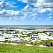 Radeln am Deich
