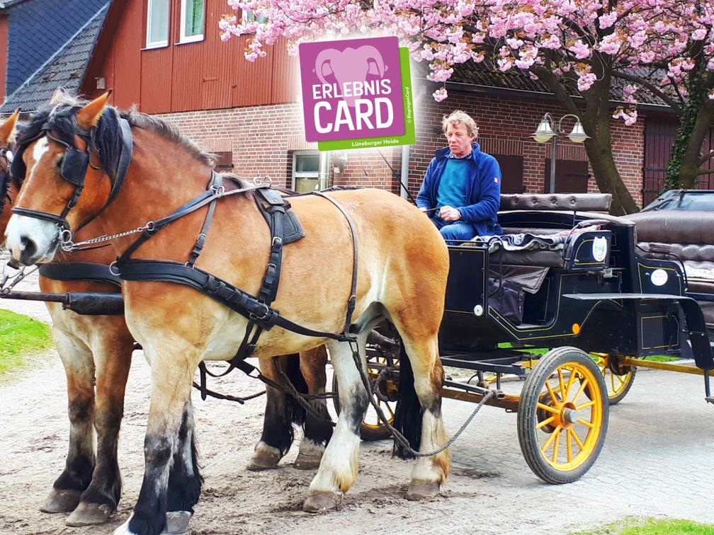 kutschfahrten-hillmer (1).jpg