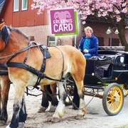 kutschfahrten-hillmer (1).jpg