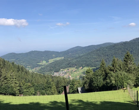 Ausblick vom Rotwildgehege