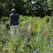 Naumburg - Hummelwerkstatt Naumburg - Hummelwerkstatt