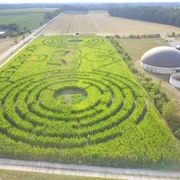 Hof_Becker_Maislabyrinth.jpg