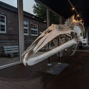 Nationalpark-Haus auf Juist