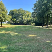Bürgerpark Grüne Wiesen umgeben von hohen Bäumen unter strahlend blauem Himmel im Bürgerpark.