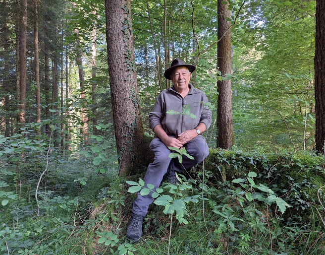 Hansnatura Waldmystik und Waldbaden mit Hansnatura