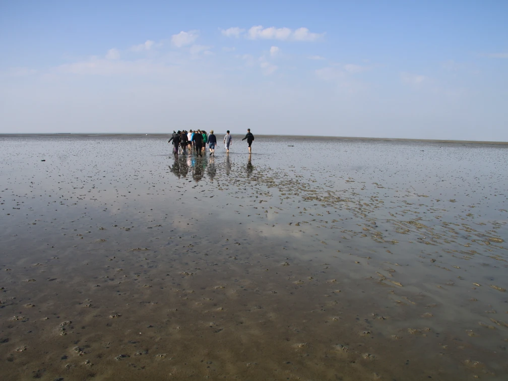 Spaziergang auf dem Meeresgrund - Wattwanderung auf Juist Spaziergang auf dem Meeresgrund - Wattwanderung auf Juist