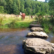Spannende Begegnungen mit den ,,Landschaftspflegern"
