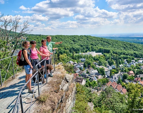 Aussicht vom Dettweiler Tempel