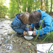 Exploring the spring habitat Zwei Kinder beugen sich über eine Tasse und untersuchen das QuellwasserTwo children bend over a cup and examine the spring waterDeux enfants se penchent sur une tasse et examinent l'eau de source