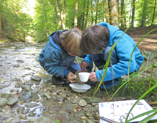 Exploring the spring habitat Zwei Kinder beugen sich über eine Tasse und untersuchen das QuellwasserTwo children bend over a cup and examine the spring waterDeux enfants se penchent sur une tasse et examinent l'eau de source