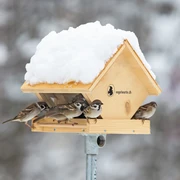 Fütterung im Winter (c) Burkhardt Marcel