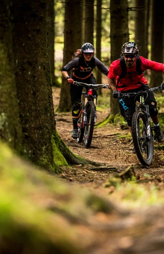 Mountainbiker auf Waldweg in Willingen Mountainbiker auf Waldweg in Willingen