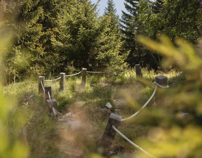 Kneipp-Anlage Silbersand Riederalp Kneipp-Anlage Silbersand Riederalp