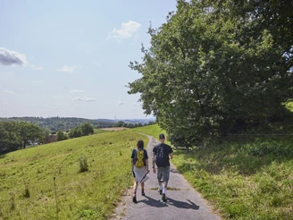 Zwei Wanderer auf einem asphaltierten Weg im Teutoburger Wald, umgeben von grünen Wiesen und Bäumen.