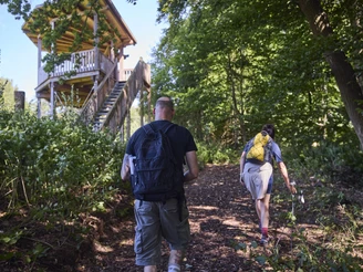 Zwei Wanderer gehen auf einem Waldweg, im Hintergrund ein Holzbeobachtungsturm umgeben von Bäumen.