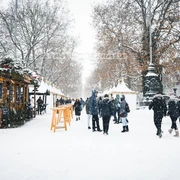 Augustusmarkt auf der Hauptstraße in Dresden.jpg