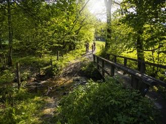 Familie radelt durch Wald über schmalen Weg mit Brücke  Familie radelt durch Wald über schmalen Weg mit Brücke
