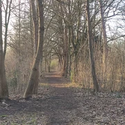 Minden - Minderheide.jpg Das Bild zeigt einen Weg durch ein Wäldchen.