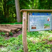 Naturerlebnispfad_Wassermühle_Lünne©MedienAtelierEmsland.jpg