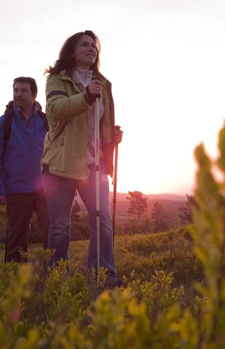 Wandertour bei Sonnenaufgang in Willingen  Wandertour bei Sonnenaufgang in Willingen