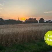 Das Bild zeigt ein Feld.