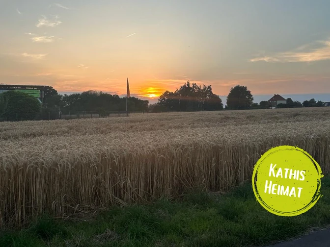 Minden - Nordstadt.png Das Bild zeigt ein Feld.