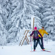 Langläufer vor dem großen Stuhl auf dem Ettelsberg  Langläufer vor dem großen Stuhl auf dem Ettelsberg