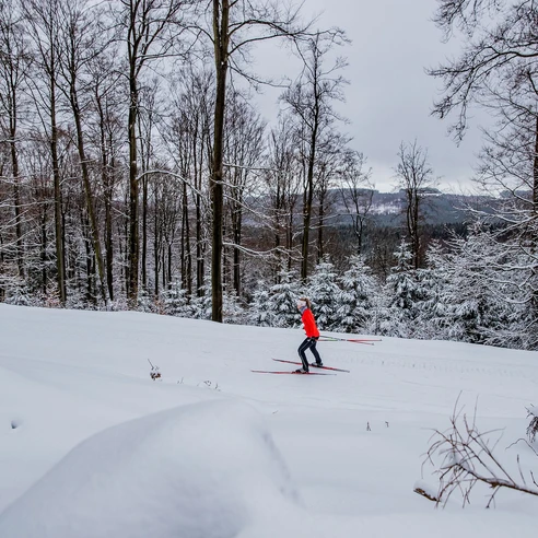 Langläuferin im verschneiten Wald in Willingen Langläuferin im verschneiten Wald in Willingen