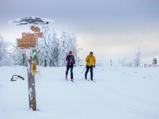 Langläufer am Wegweiser auf dem Ettelsberg Langläufer am Wegweiser auf dem Ettelsberg