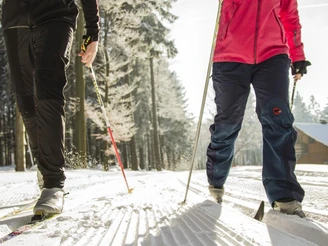 Langläufer in Loipe Langläufer in Loipe