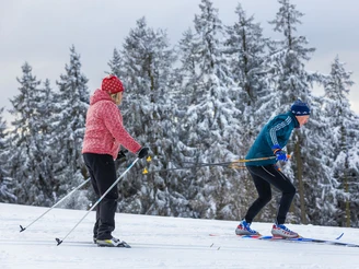 Langläufer-Paar auf der Abfahrt in der Loipe Langläufer-Paar auf der Abfahrt in der Loipe