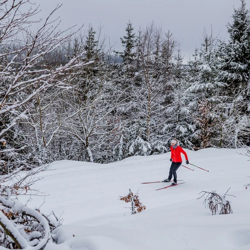 Langläuferin im Winterwald in Willingen Langläuferin im Winterwald in Willingen