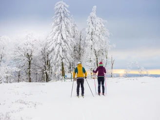 Langläufer-Paar in der Loipe in Willingen  Langläufer-Paar in der Loipe in Willingen