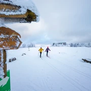 Langläufer auf dem Ettelsbergplateau Langläufer auf dem Ettelsbergplateau