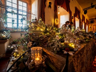Schloss Trebsen weihnachtliche Auslage Man sieht eine Auslage die weihnachtlich mit Zweigen geschmückt ist. Fenster sorgen für eine gute Beleuchtung.