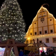 Ein Fest der Sinne - Grimmaer Weihnachtsmarkt Zu sehen ist das Grimmaer Rathaus weihnachtlich beleuchtet. Im Vordergrund steht ein großer geschmückter Weihnachtsbaum und Stände mit Spezialitäten.