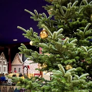 Weihnachtsmarkt in der Music Hall