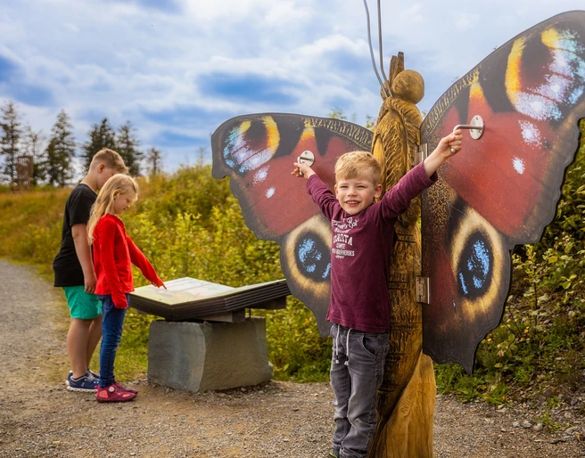 kinder-schmetterling-raupenweg c) Ettelsberg-Seilbahn.jpg