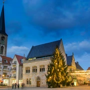 Halberstädter Weihnachtsmarkt Halberstädter Weihnachtsmarkt
