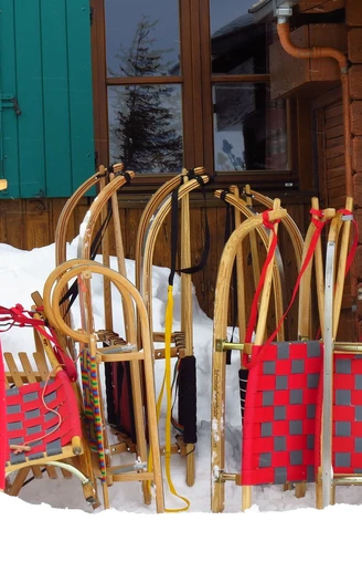 sleds-81386_1920.jpg