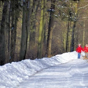 snow-1121117_1280.jpg