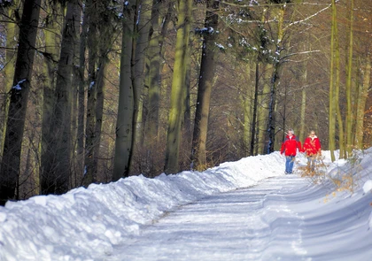 snow-1121117_1280.jpg