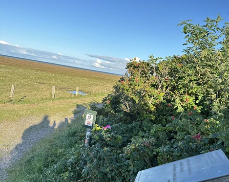 Kunststele Emmi Leisner